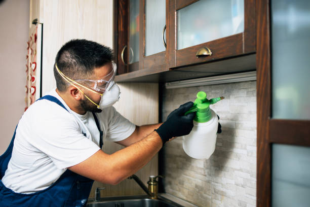Best Residential Pest Control  in Ames Lake, WA