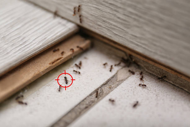  Ames Lake, WA Pest Control Pros