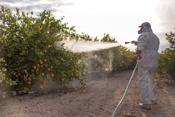 Insect Control in Ames Lake, WA