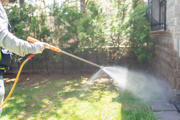 Best Bird Control  in Ames Lake, WA