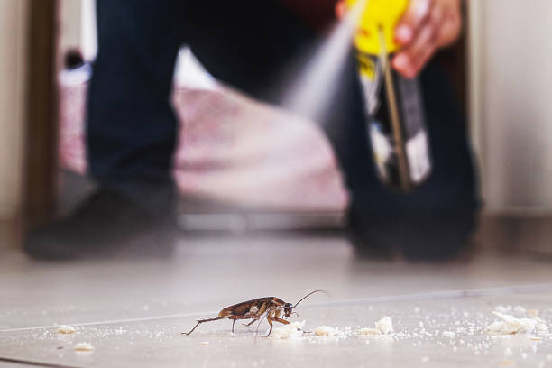 Best Commercial Pest Control Services  in Ames Lake, WA